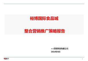 国际食品城整合营销推广策略报告